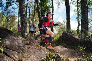 BIB: 
                            <button type="button" onclick="openModal(18916572)" class="btn btn-primary btn-sm float-right btn-popup" data-toggle="modal" data-target=".modal-high-quality">
                        <i class="fas fa-shopping-cart"></i> Add to Cart
                    </button>
                                            <button type="button" onclick="isThisMe(18916572, true)" class="btn btn-success btn-sm float-right btn-popup btn-isme hidden" data-toggle="tooltip" data-placement="bottom" title="นี่คือรูปของคุณใช่ไหม คลิกที่นี่เพื่อเอาเข้าอัลบั้ม">
                        <i class="fas fa-plus"></i> Add to album
                    </button>
                    <button type="button" onclick="isThisMe(18916572, false)" class="btn btn-warning btn-sm float-right btn-popup btn-isnotme hidden">
                        <i class="fas fa-ban"></i> Remove from album
                    </button>